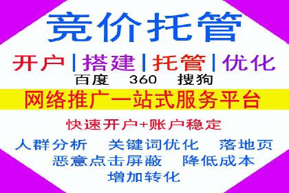 揭秘SEM竞价成功案例，助你提升ROI